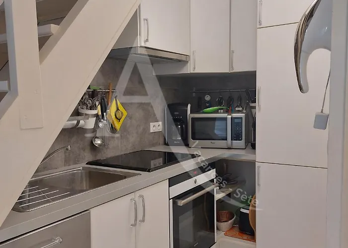 T2 Avec Espace Nuit En Mezzanine Et 2 Terrasses *