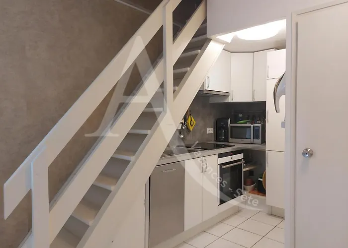 T2 Avec Espace Nuit En Mezzanine Et 2 Terrasses Appartement