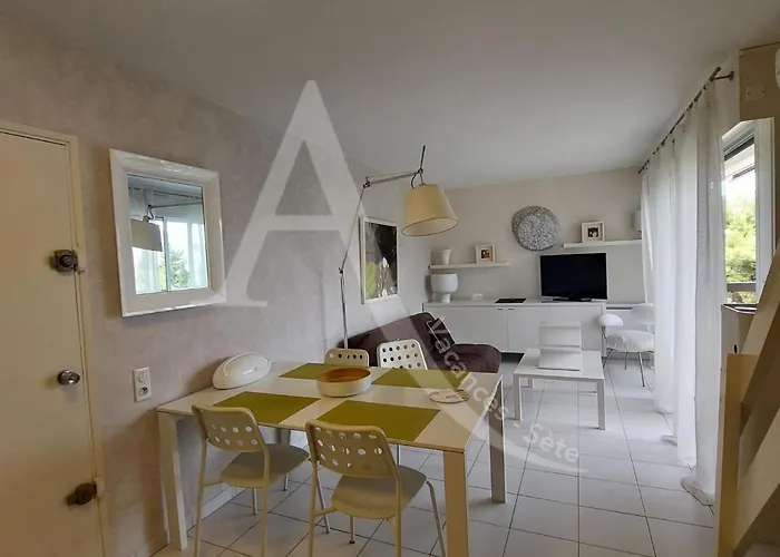 T2 Avec Espace Nuit En Mezzanine Et 2 Terrasses Appartement *