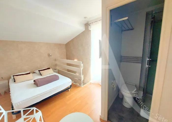 T2 Avec Espace Nuit En Mezzanine Et 2 Terrasses Appartement *